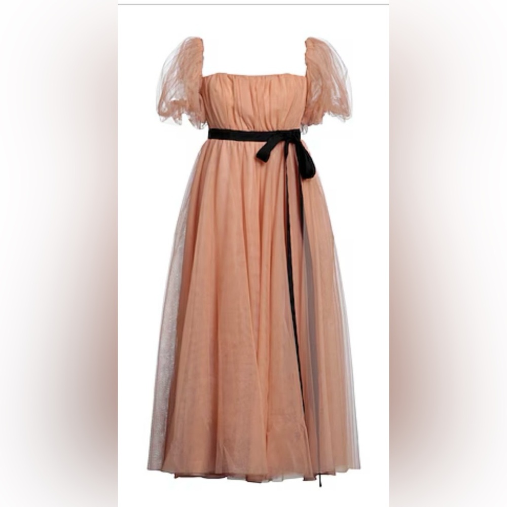 Pinko Drupa Off Shoulder Tulle Dress - 40